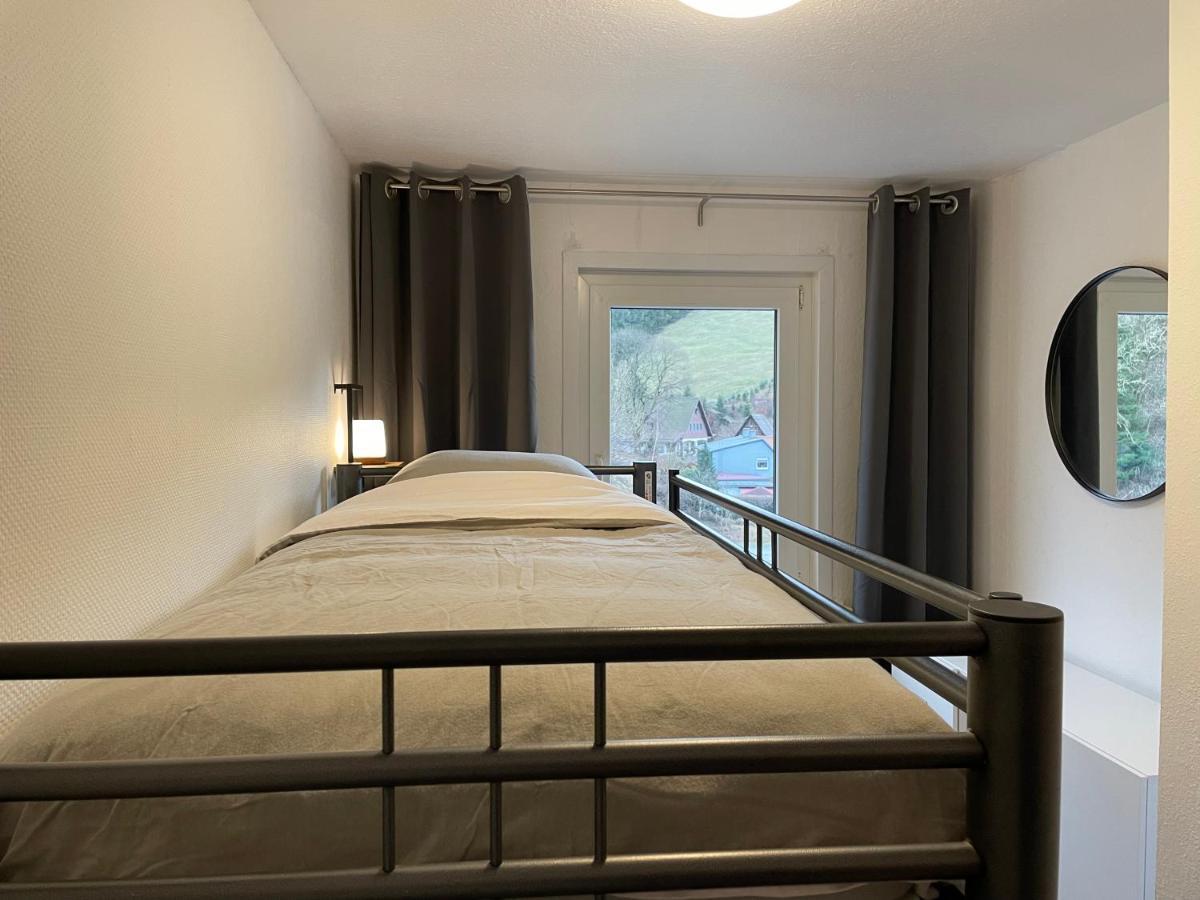 Breeman Im Harz Lägenhet Sankt Andreasberg Exteriör bild
