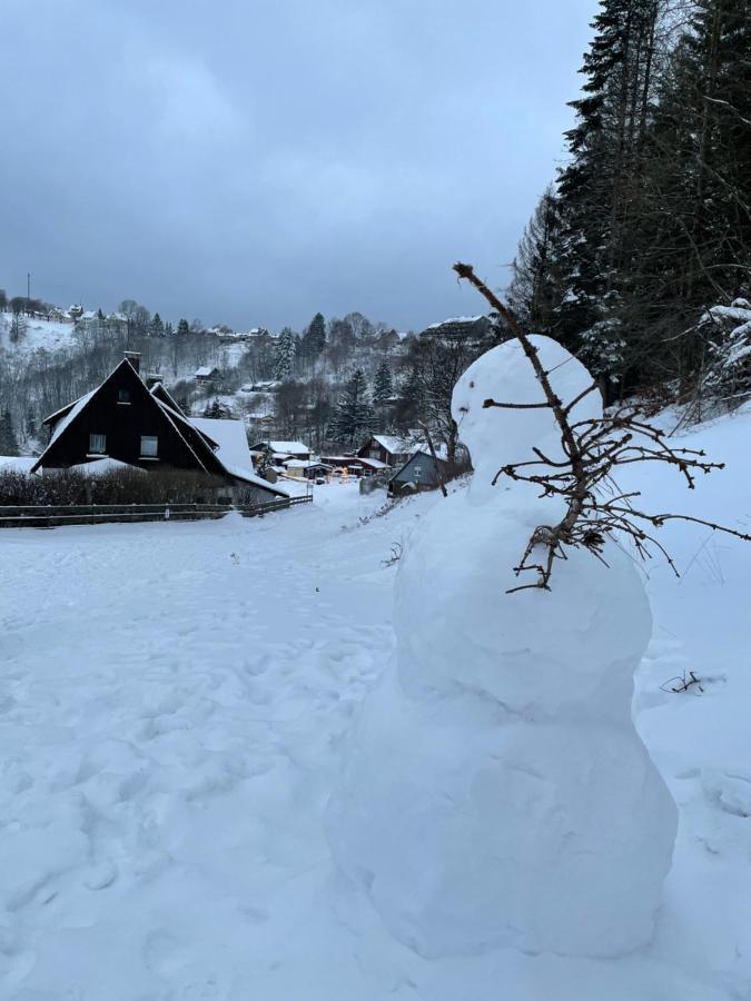 Breeman Im Harz Lägenhet Sankt Andreasberg Exteriör bild